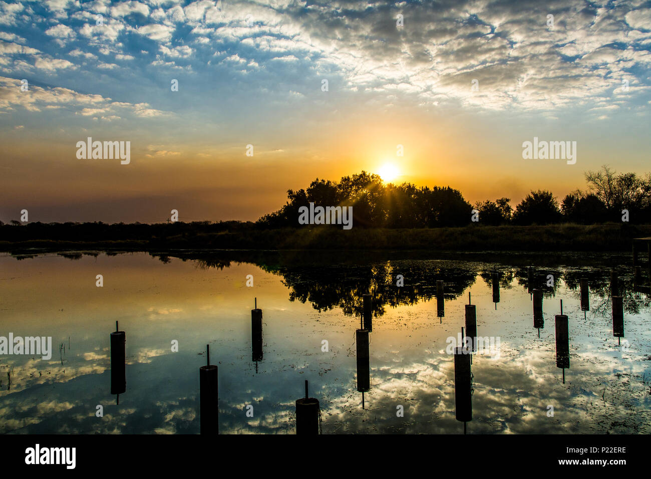 Africa water hole sunset hi-res stock photography and images - Alamy