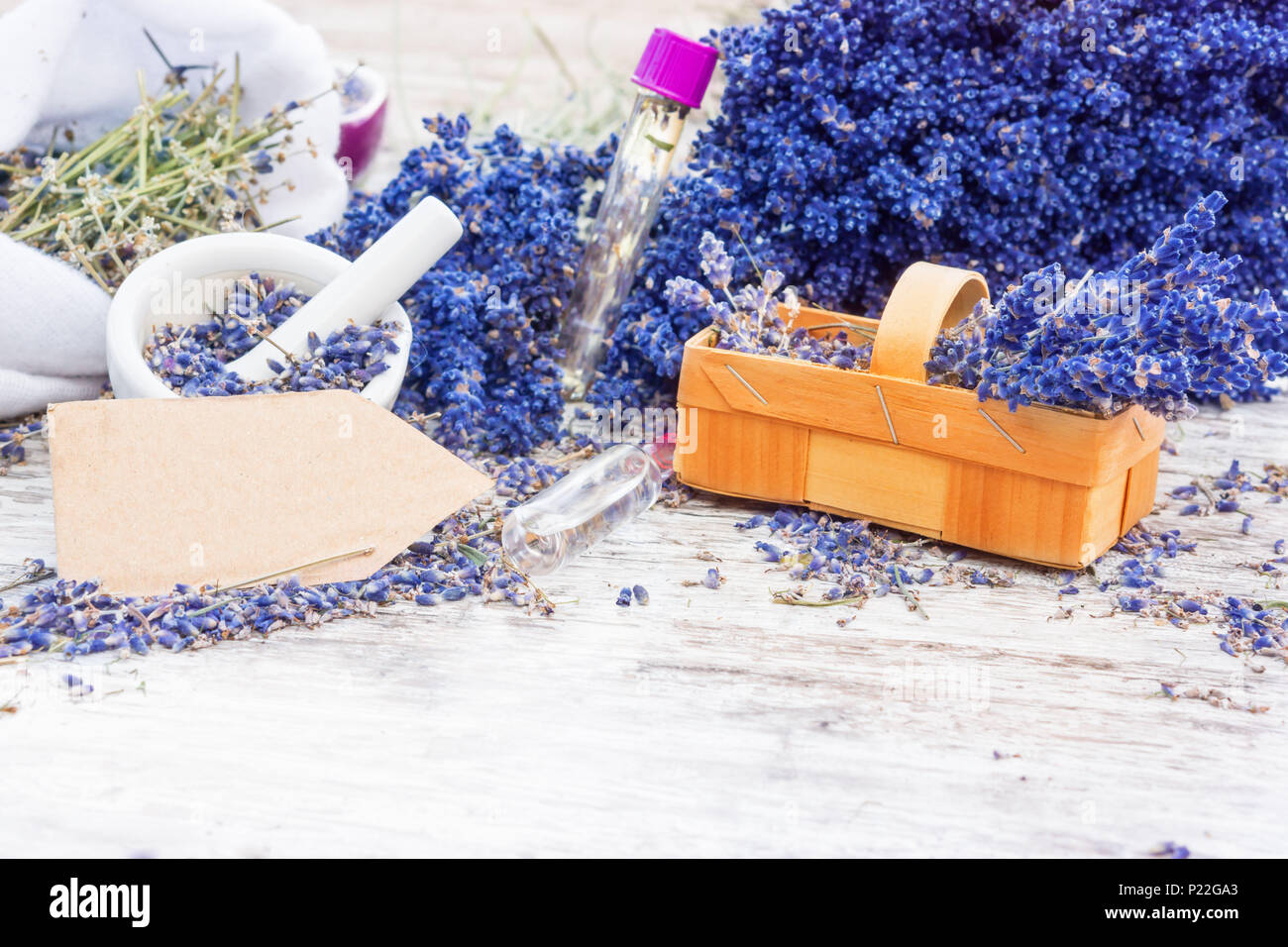 Lavender Plant Label Hi Res Stock Photography And Images Alamy