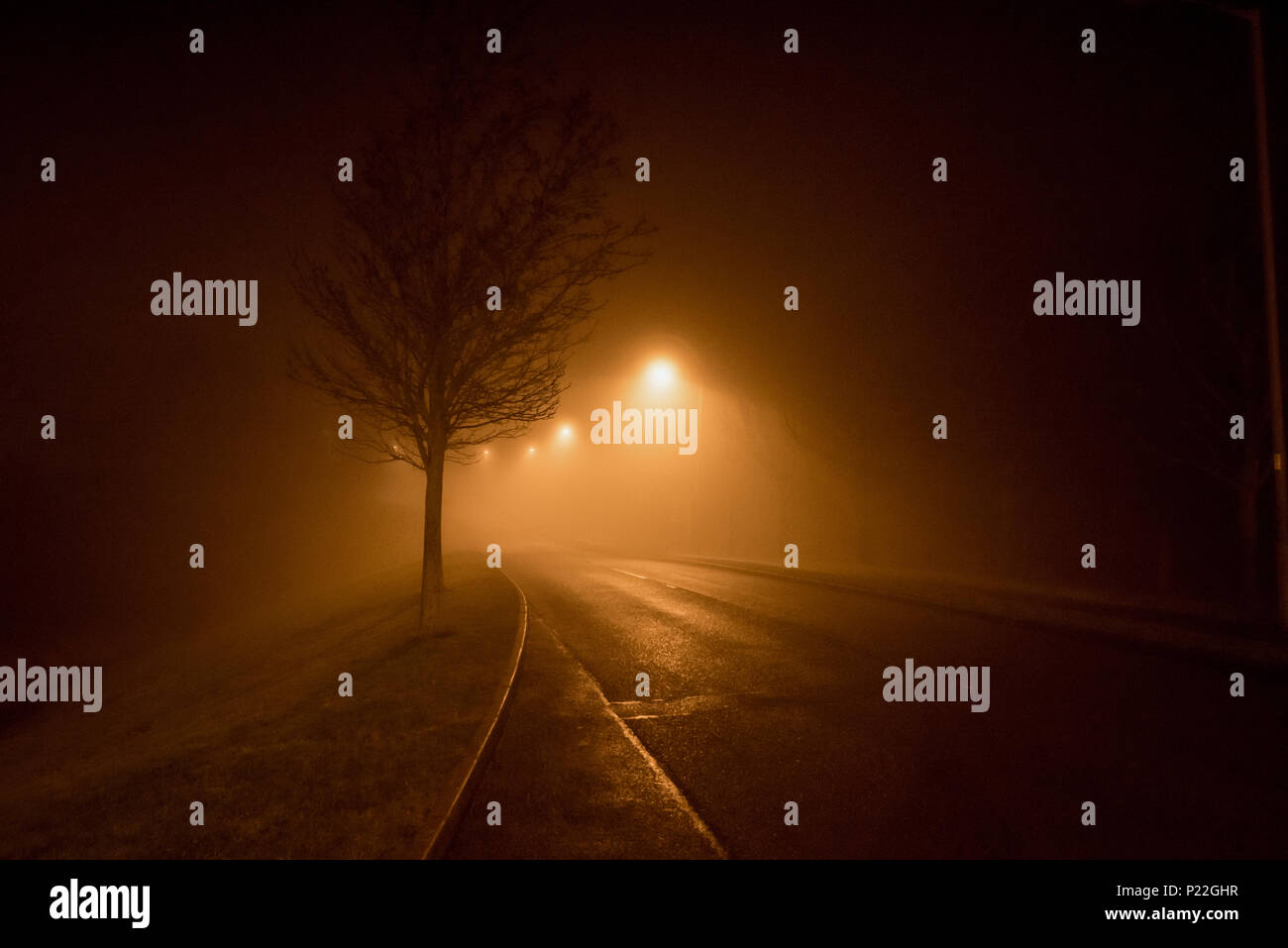 Street lights shine through the fog down a road with an unknown