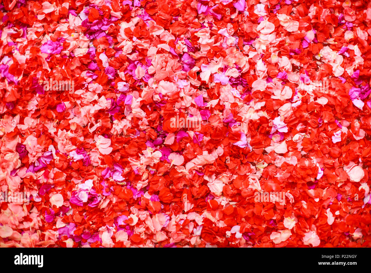 Bath with petals Stock Photo Alamy