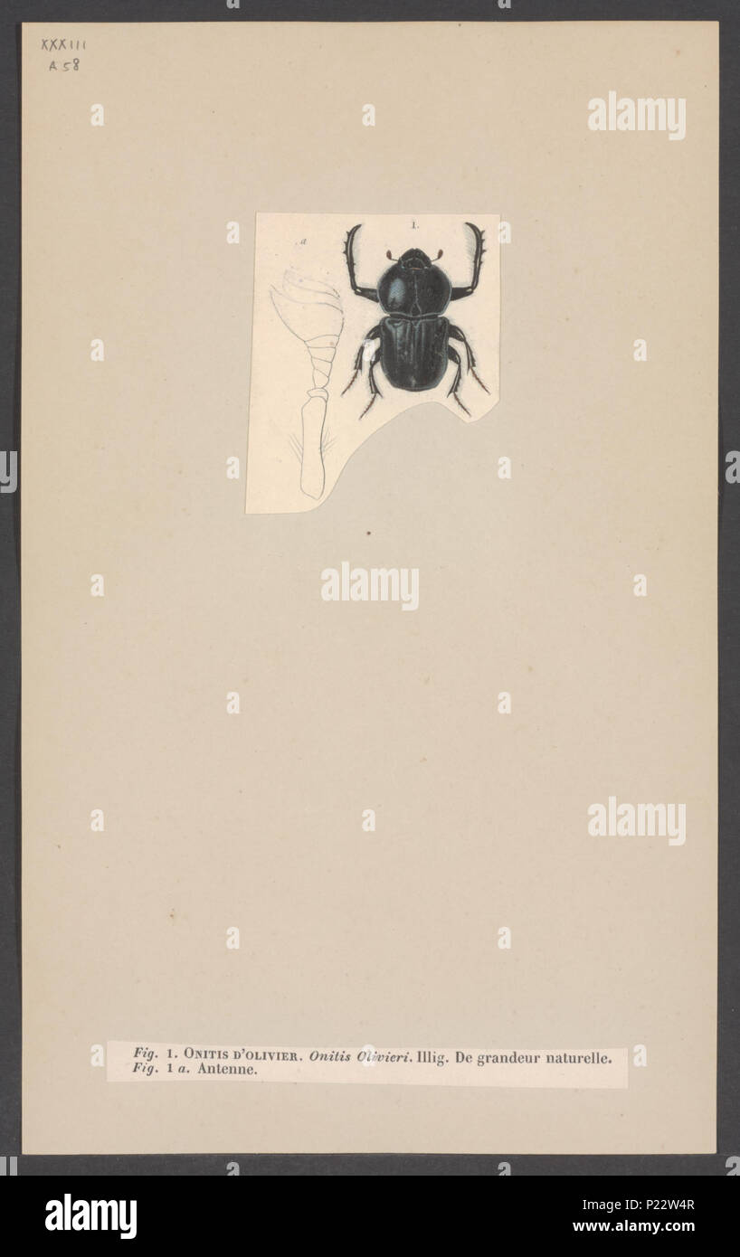 001 05 hi-res stock photography and images - Alamy
