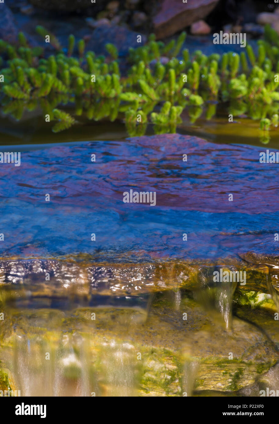 Back yard waterfall hi-res stock photography and images - Alamy