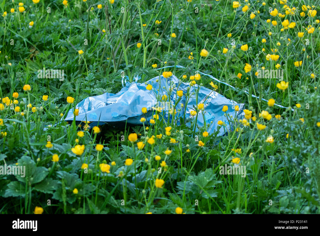 Balloon Litter. Balloons have landed in a field causing balloon release litter damaging the environment and harm to wildlife. Stock Photo