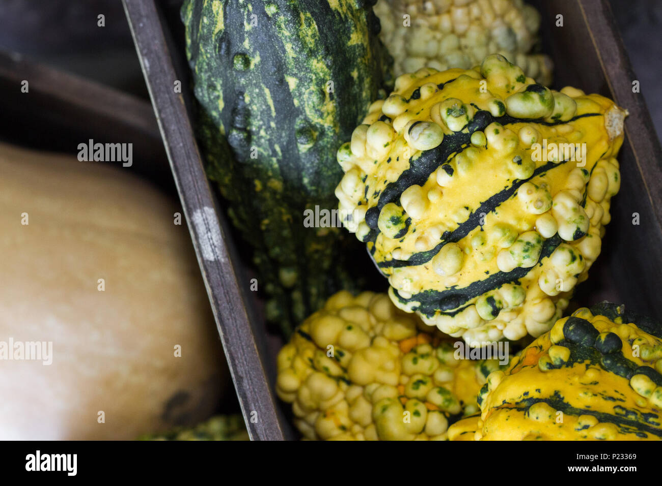Close up detail of Butternut and Acorn squash in a rustic wooden crate. Stock Photo