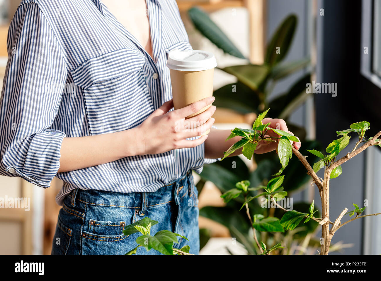 cropped image of young woman with coffee touching potted plant Stock Photo