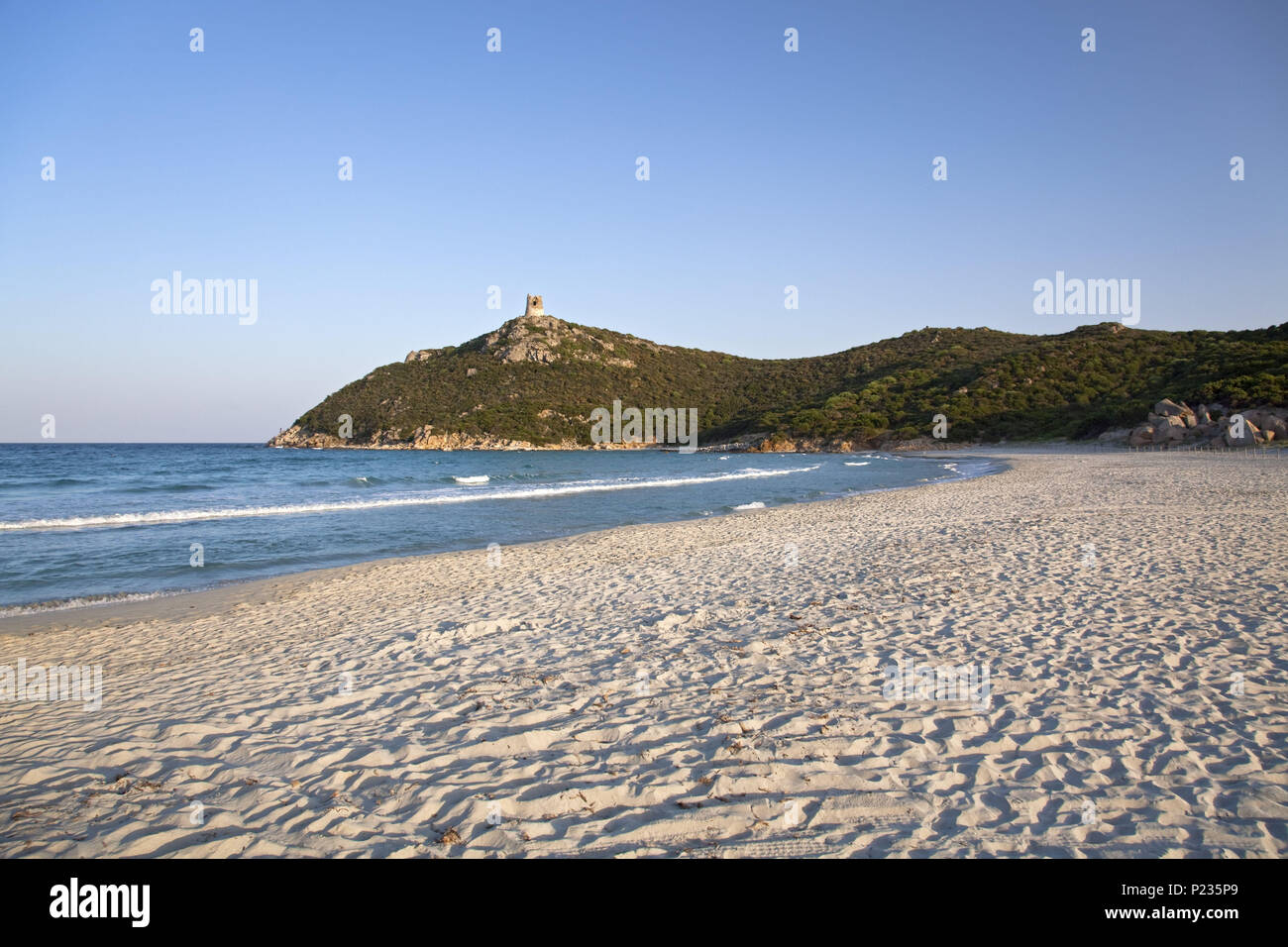 Simius Stock Photos Simius Stock Images Alamy