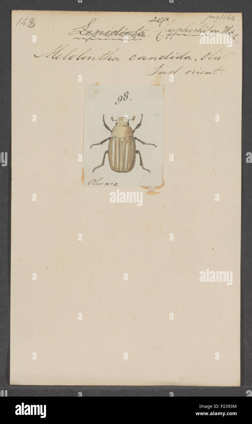 Entomology archive collection hi-res stock photography and images - Alamy