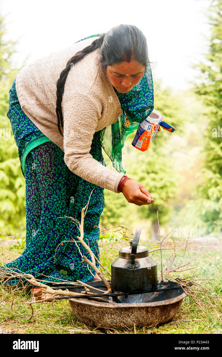 Indian woman making tea, Champawatt, Kumaon Hills, Uttarakhand, India Stock Photo