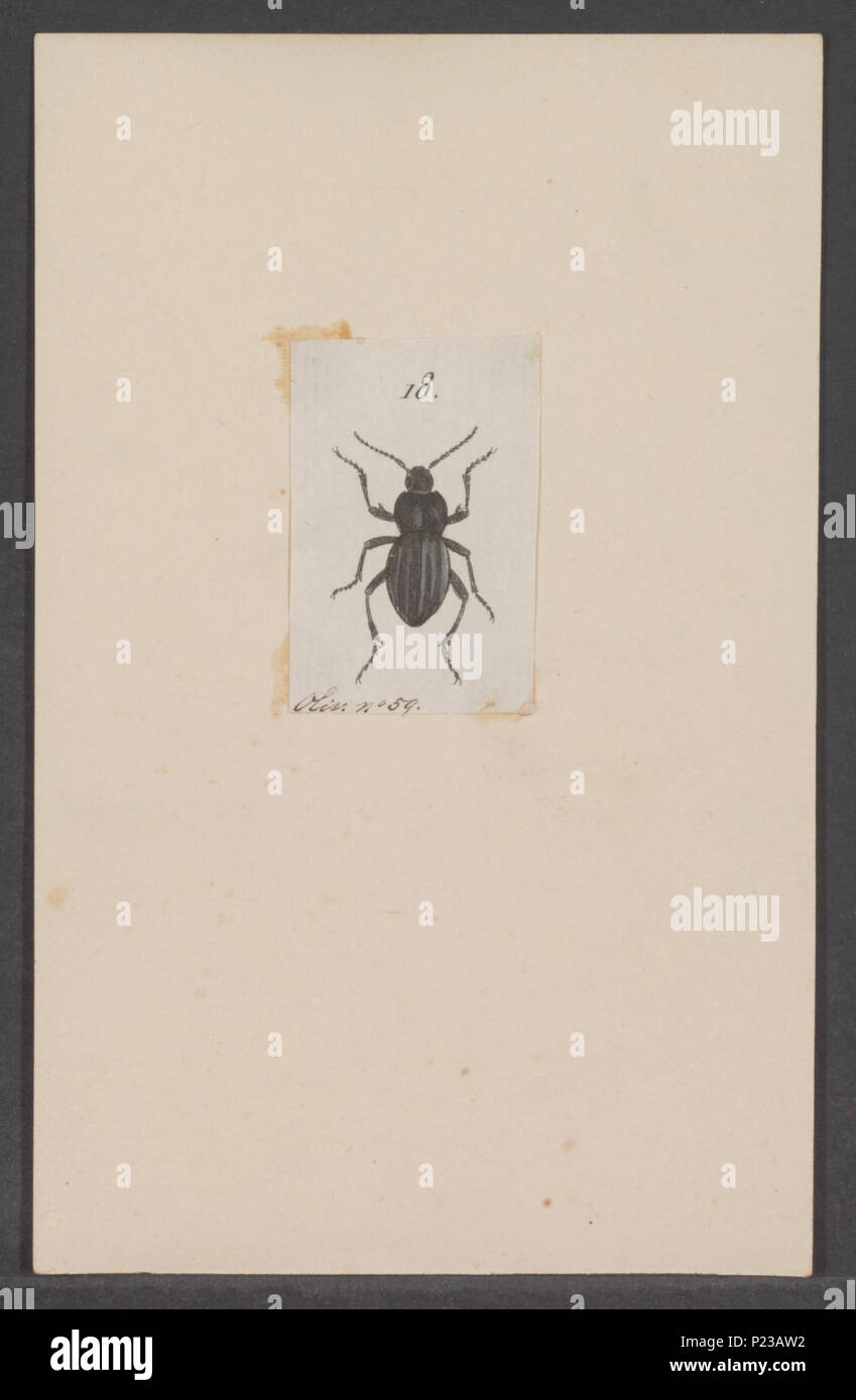 Ink labeled research specimen hi-res stock photography and images - Alamy