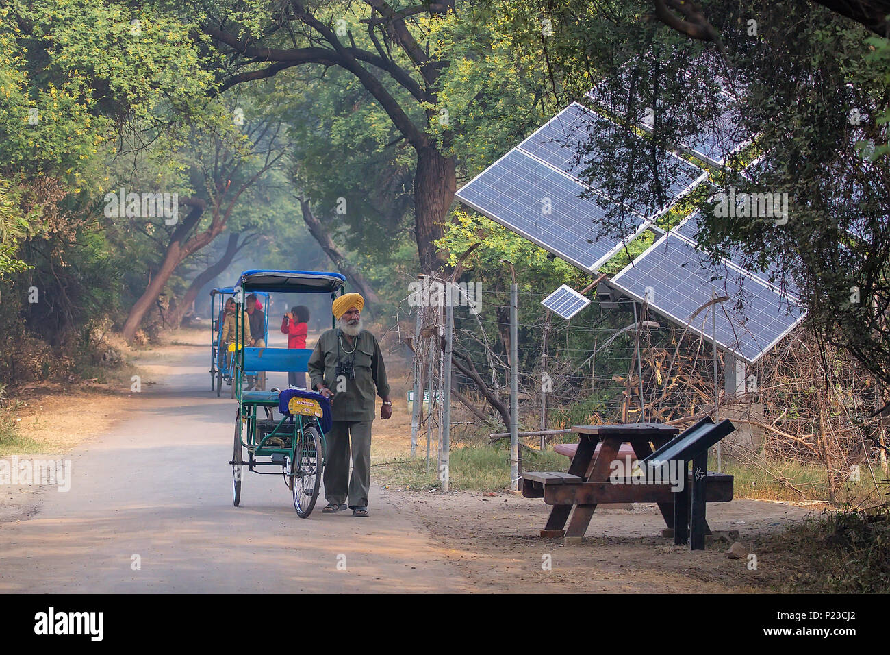 Cycle rickshaw walking in Keoladeo Ghana National Park in Bharatpur, Rajasthan, India. The park was declared a protected sanctuary in 1971 and it is a Stock Photo