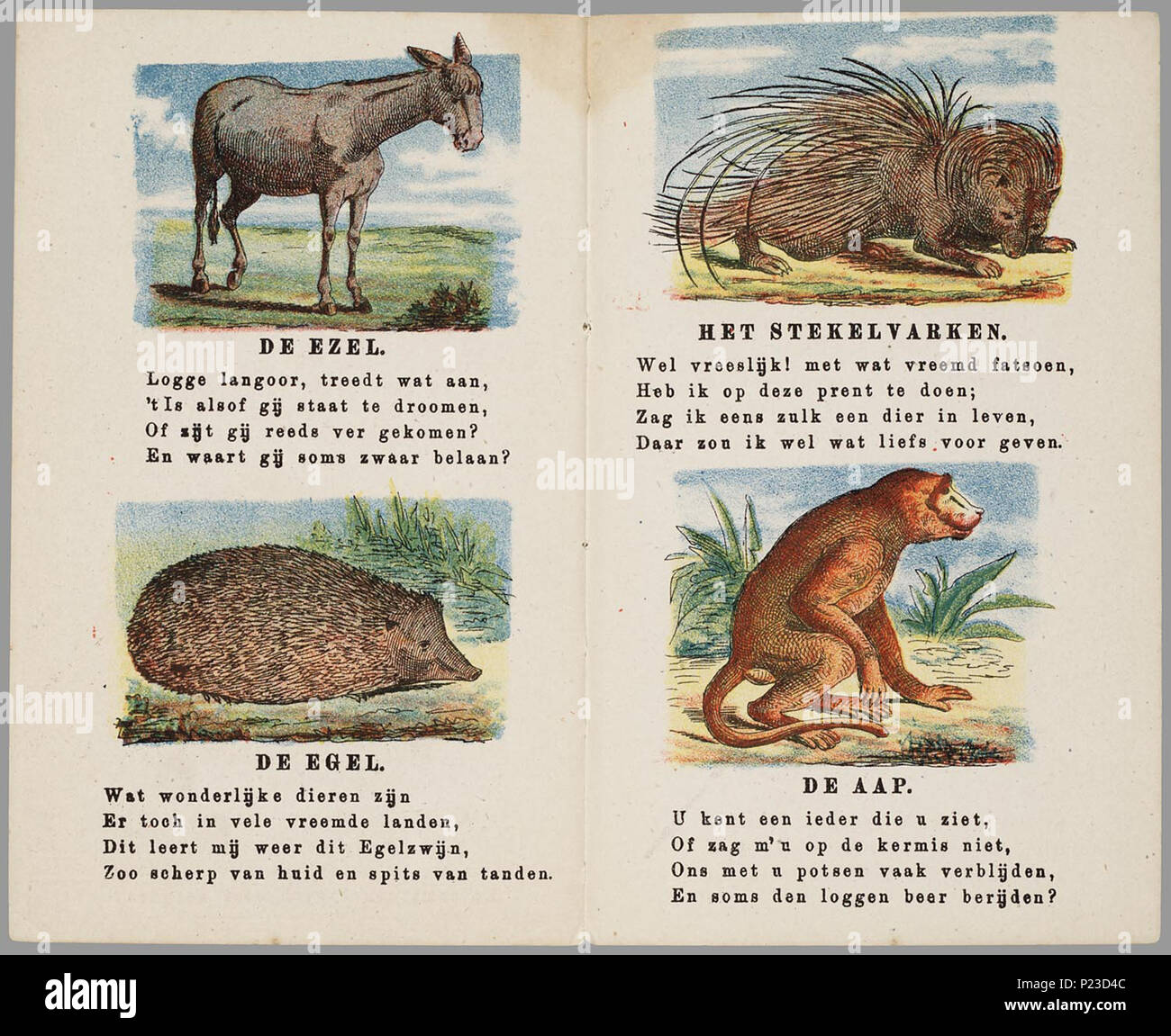 Het dierenrijk in afbeeldingen / met 16 plaatjes. Prentenboekje met op blad twee gekleurde met daaronder 4 regels rijmende tekst. De afgebeelde dieren zijn: leeuw, koe, vos, hond,