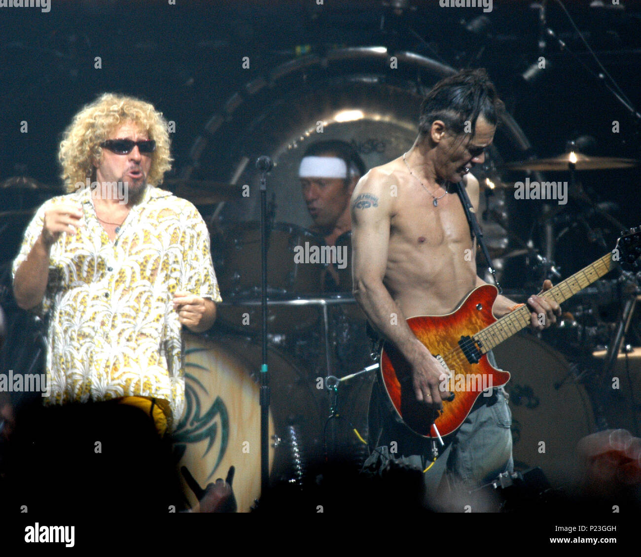 van halen hawaiian shirt