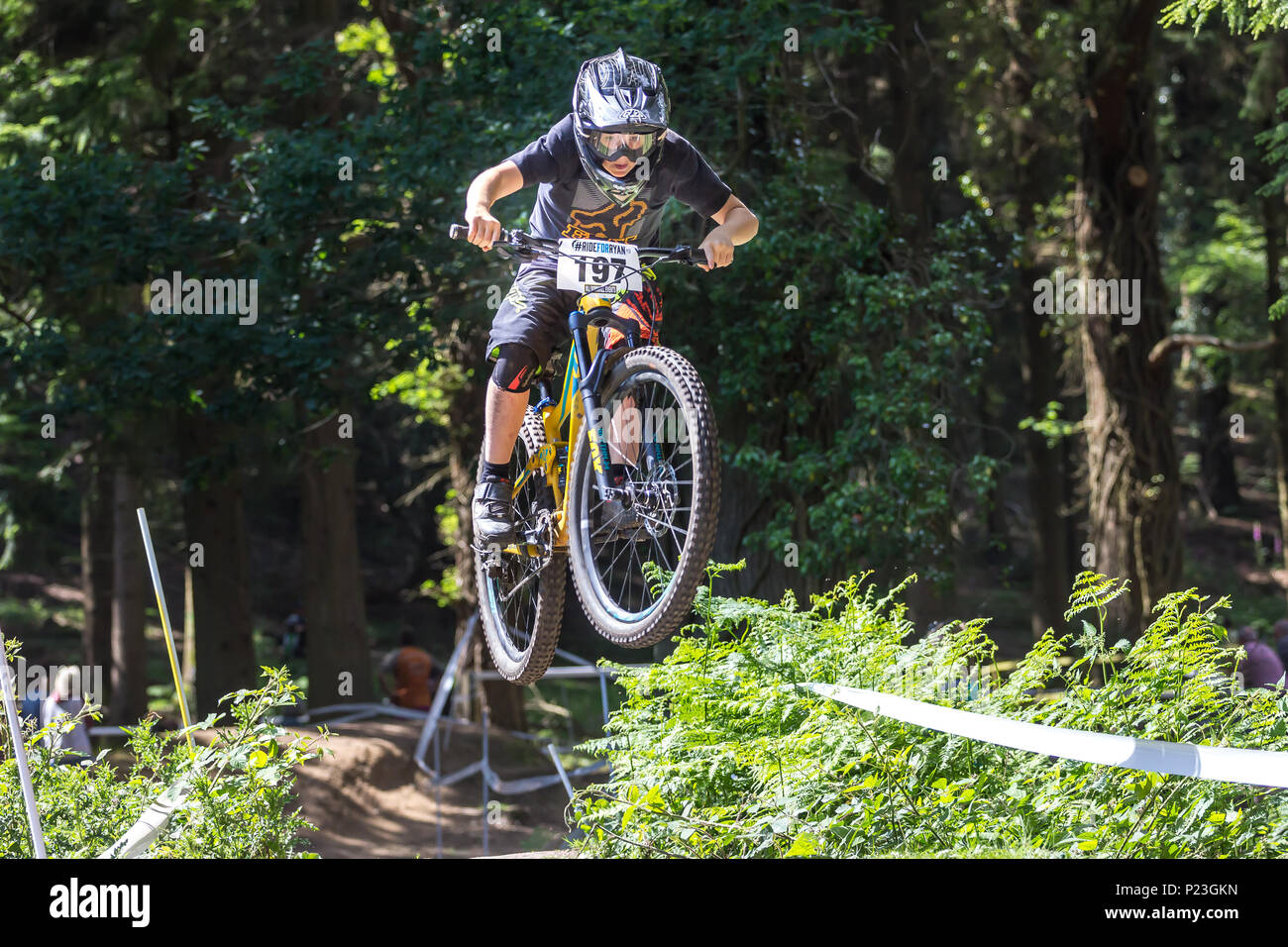 Cannop Cycle Centre Forest Of Dean 2024 www.alhudapk