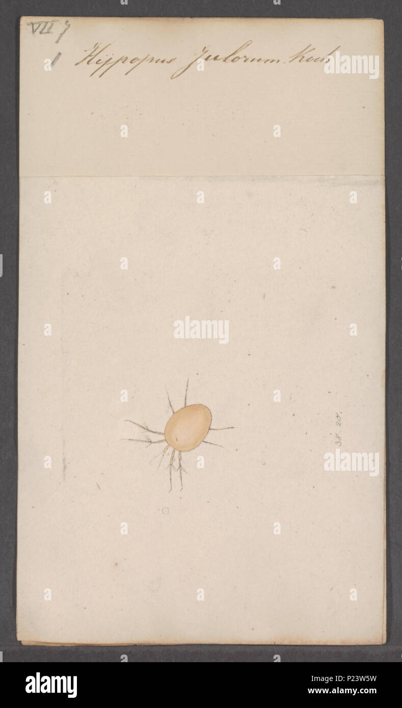 0051 hi-res stock photography and images - Alamy