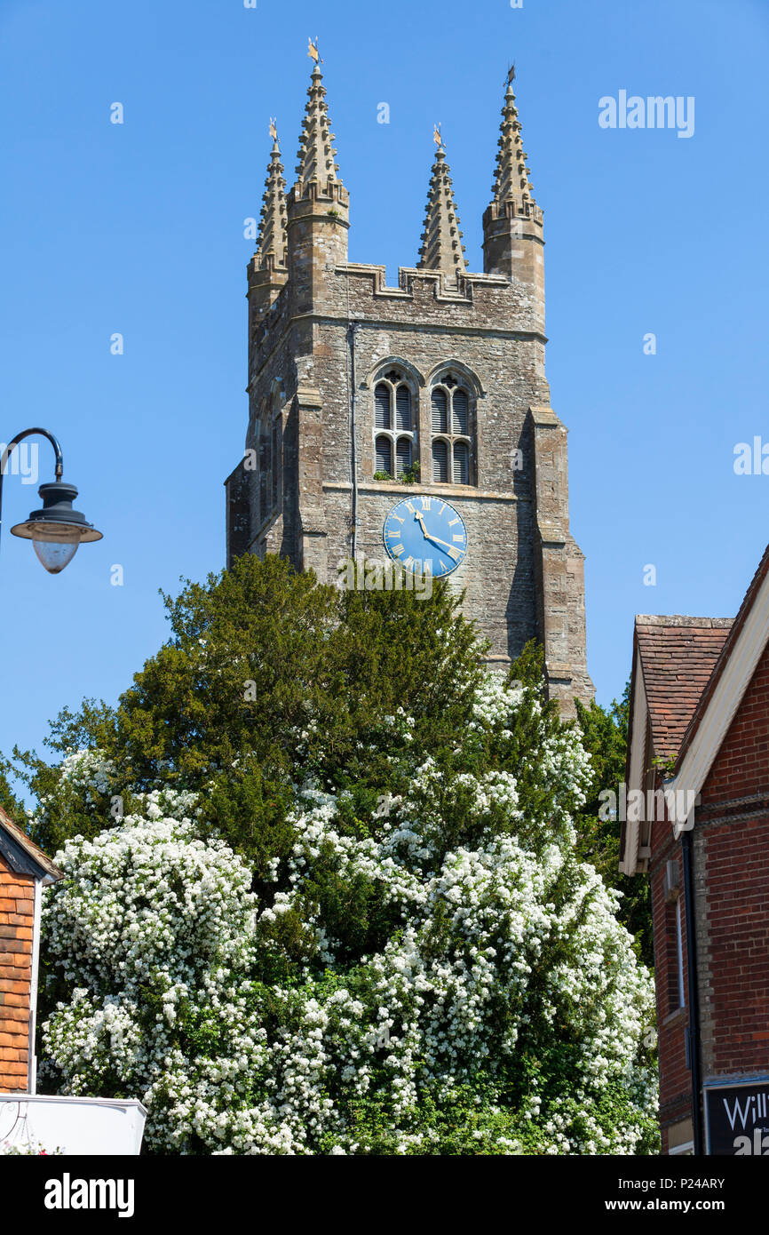 St. Mildreds church, tenterden, kent, uk Stock Photo Alamy