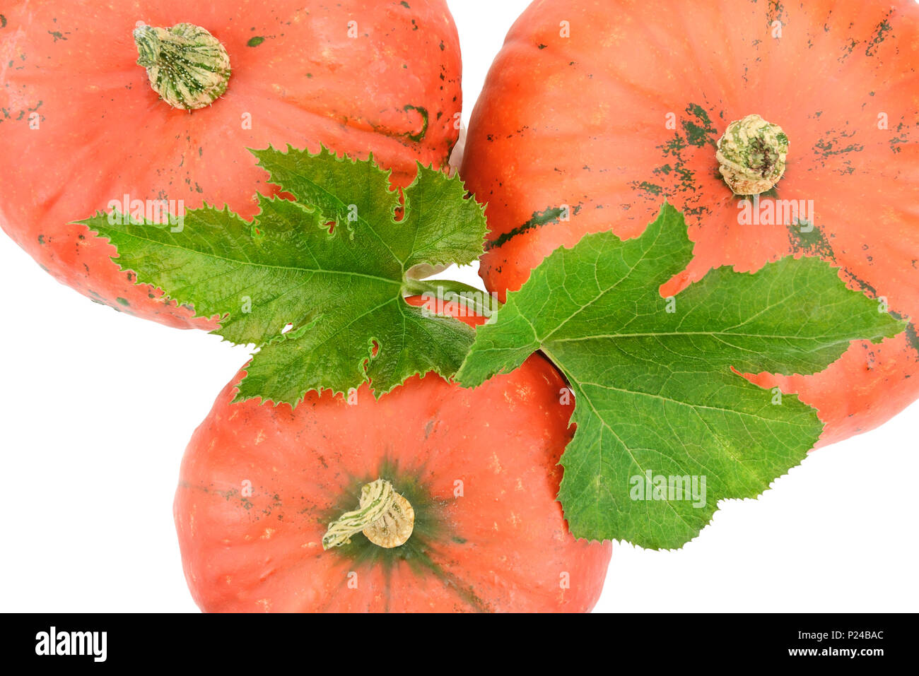 ripe pumpkin isolated on white background Stock Photo - Alamy