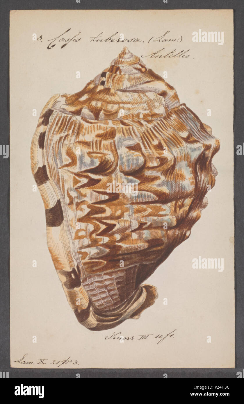 Structure 0004 hi-res stock photography and images - Alamy
