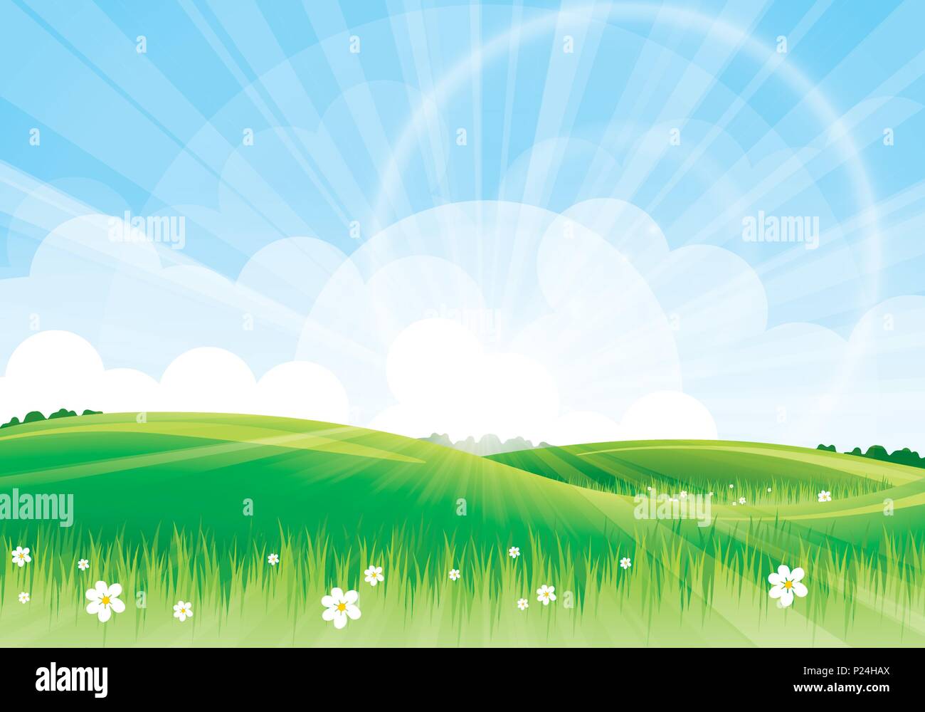 spring summer background with flowers and meadows hills Stock Vector ...