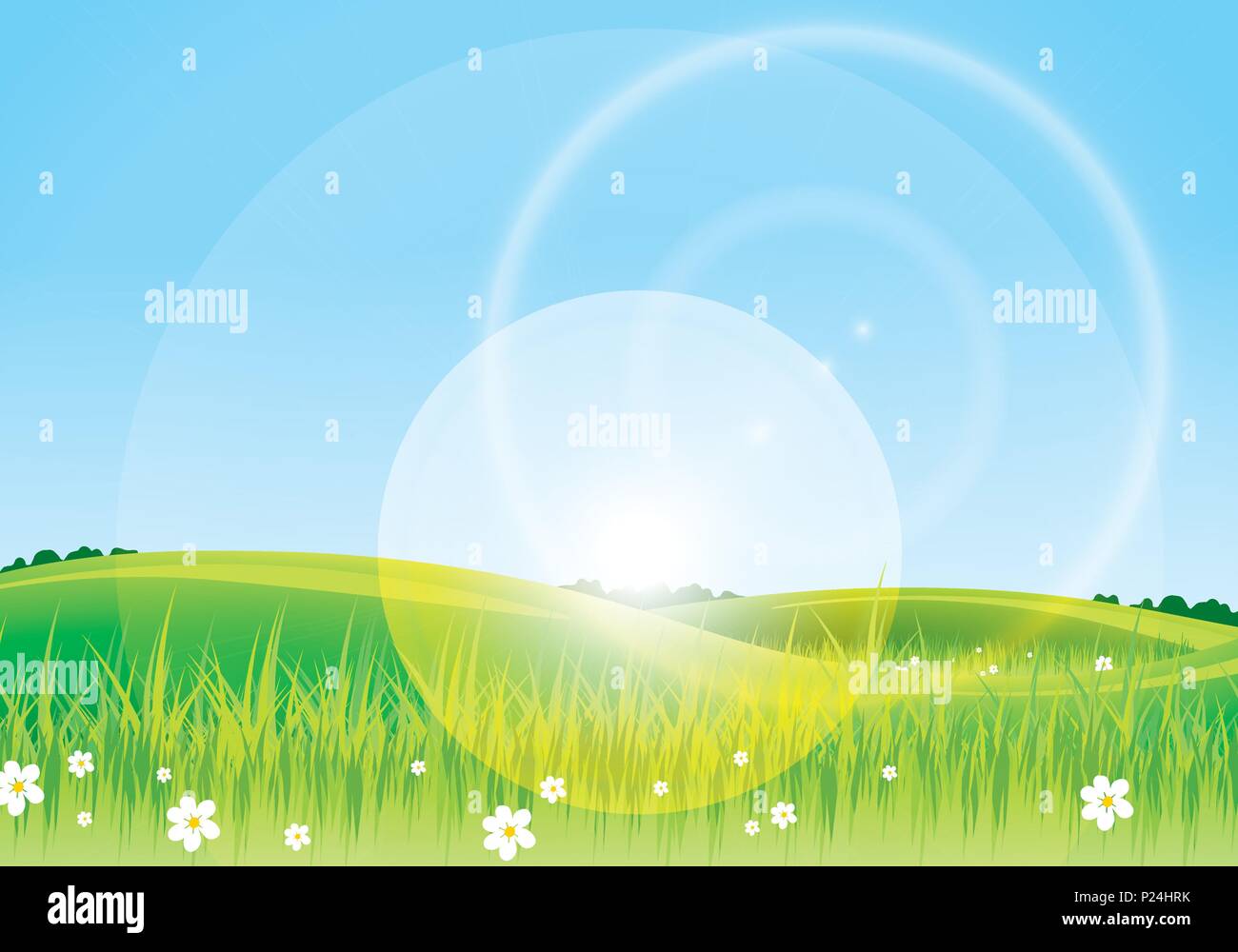spring summer background with flowers and meadows hills Stock Vector ...