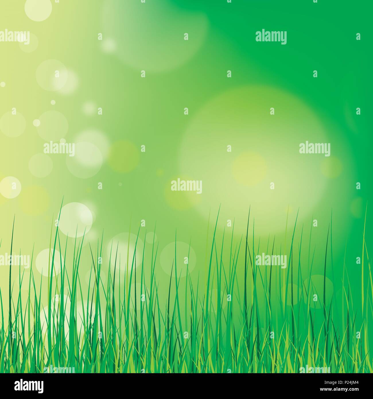 spring summer background with flowers and meadows hills Stock Vector ...