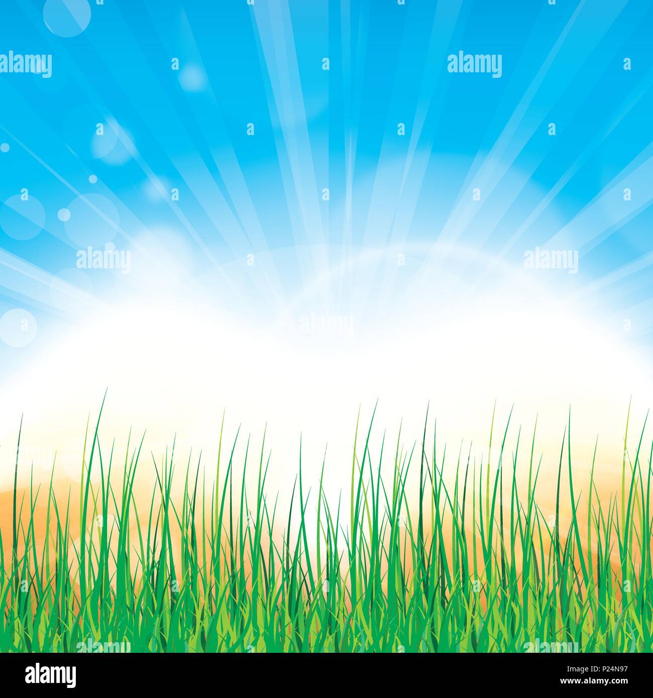 spring summer background with flowers and meadows hills Stock Vector ...