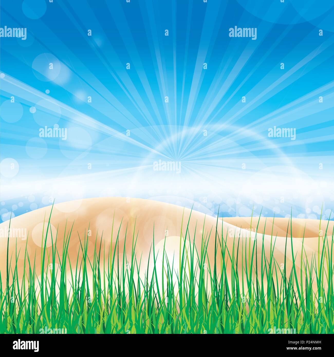 spring summer background with flowers and meadows hills Stock Vector ...