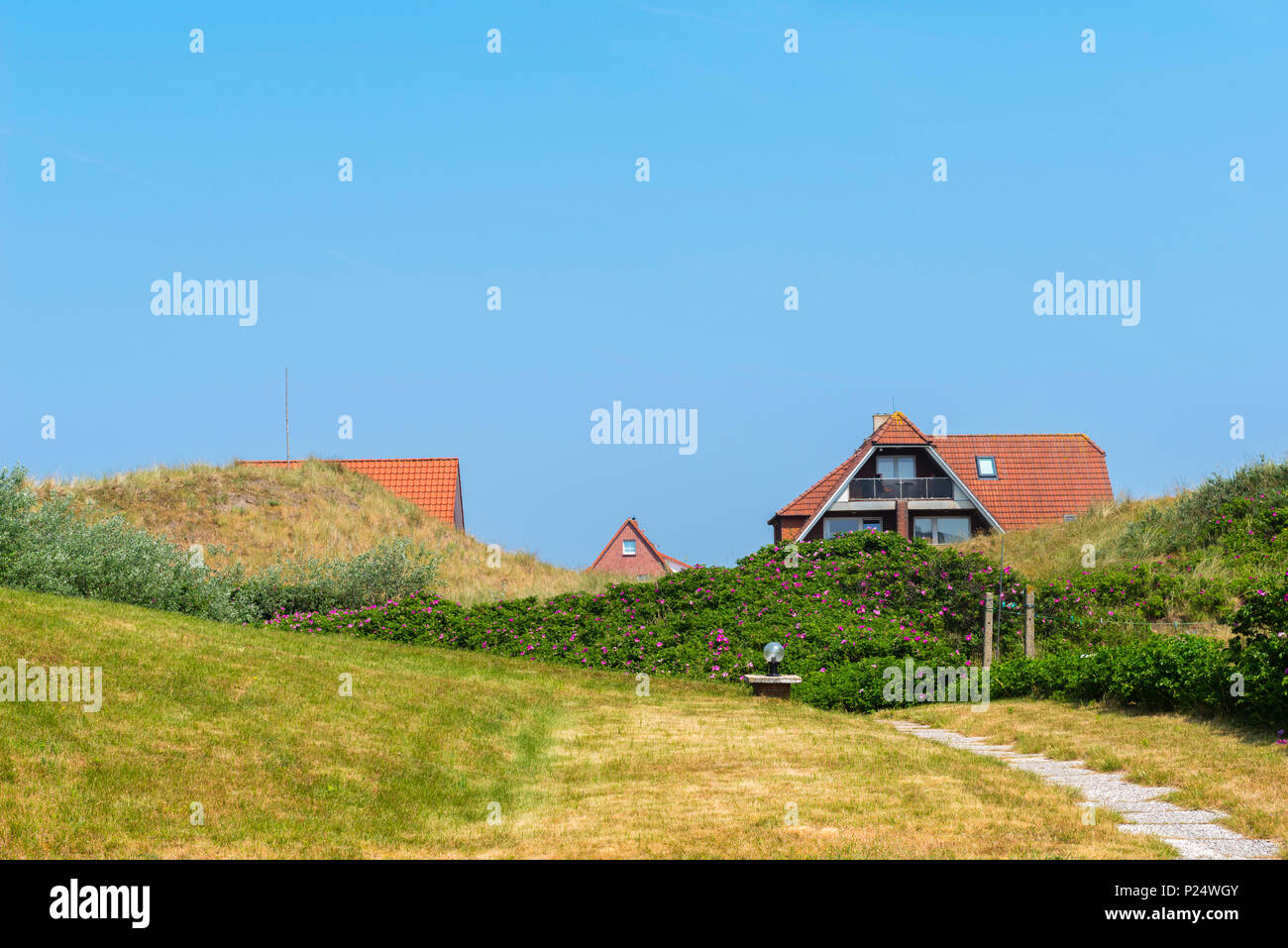 Apartment Houses Between Dunes North Sea Island Of Baltrum Lower