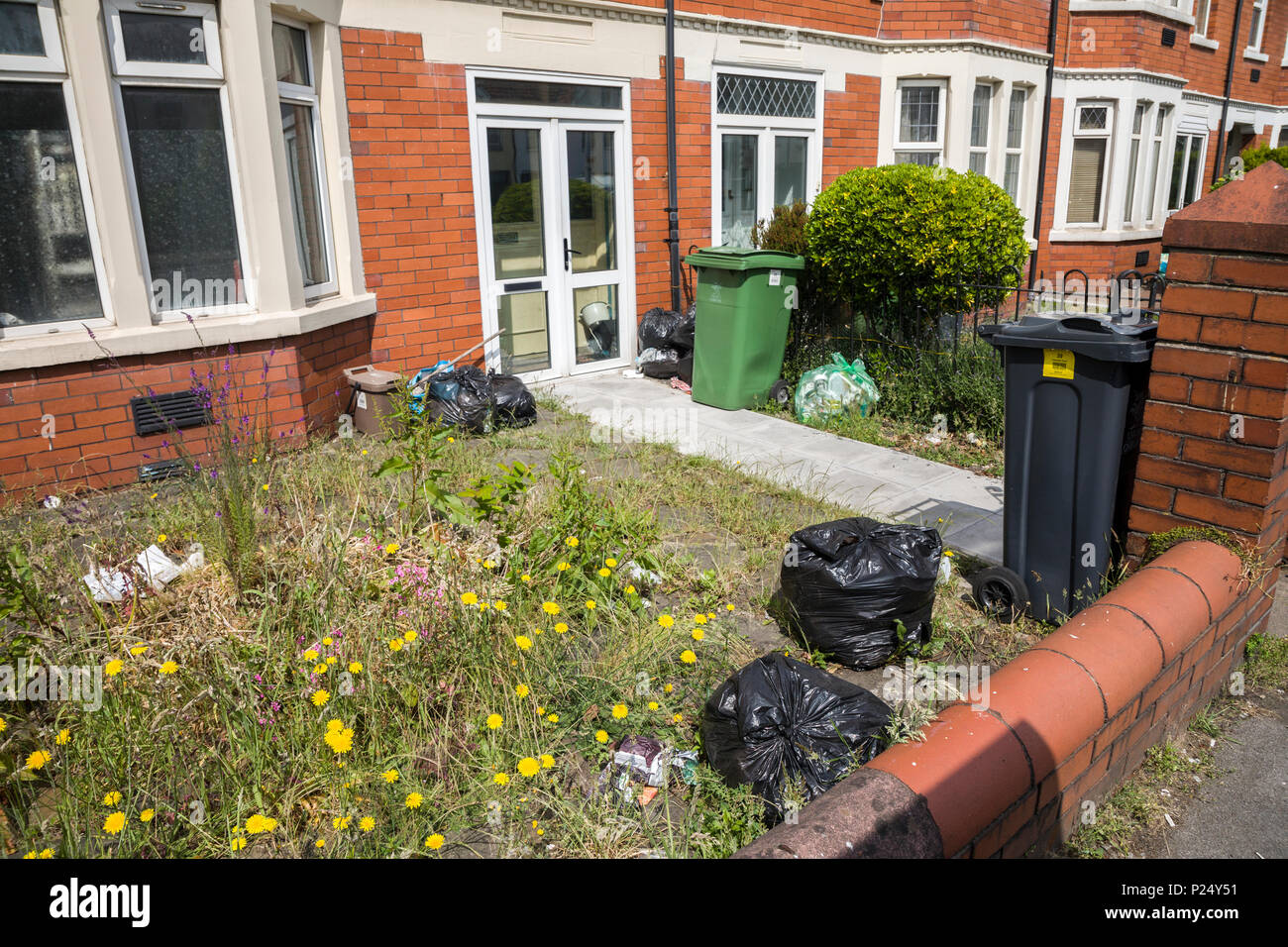 Overgrown garden with rubbish bags and litter, Cardiff, Wales, UK Stock Photo
