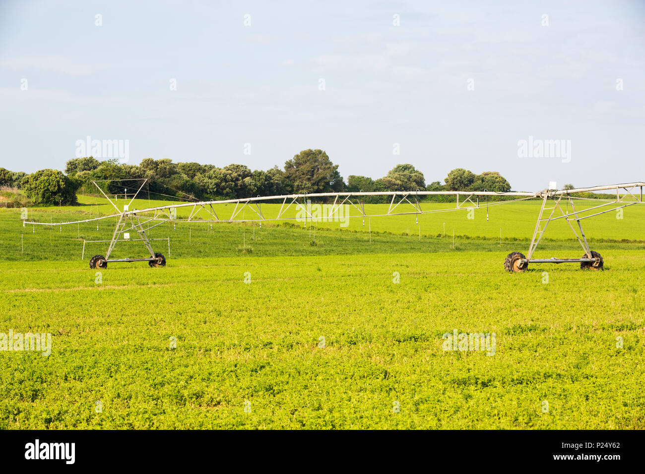 Cereal plains hi-res stock photography and images - Alamy