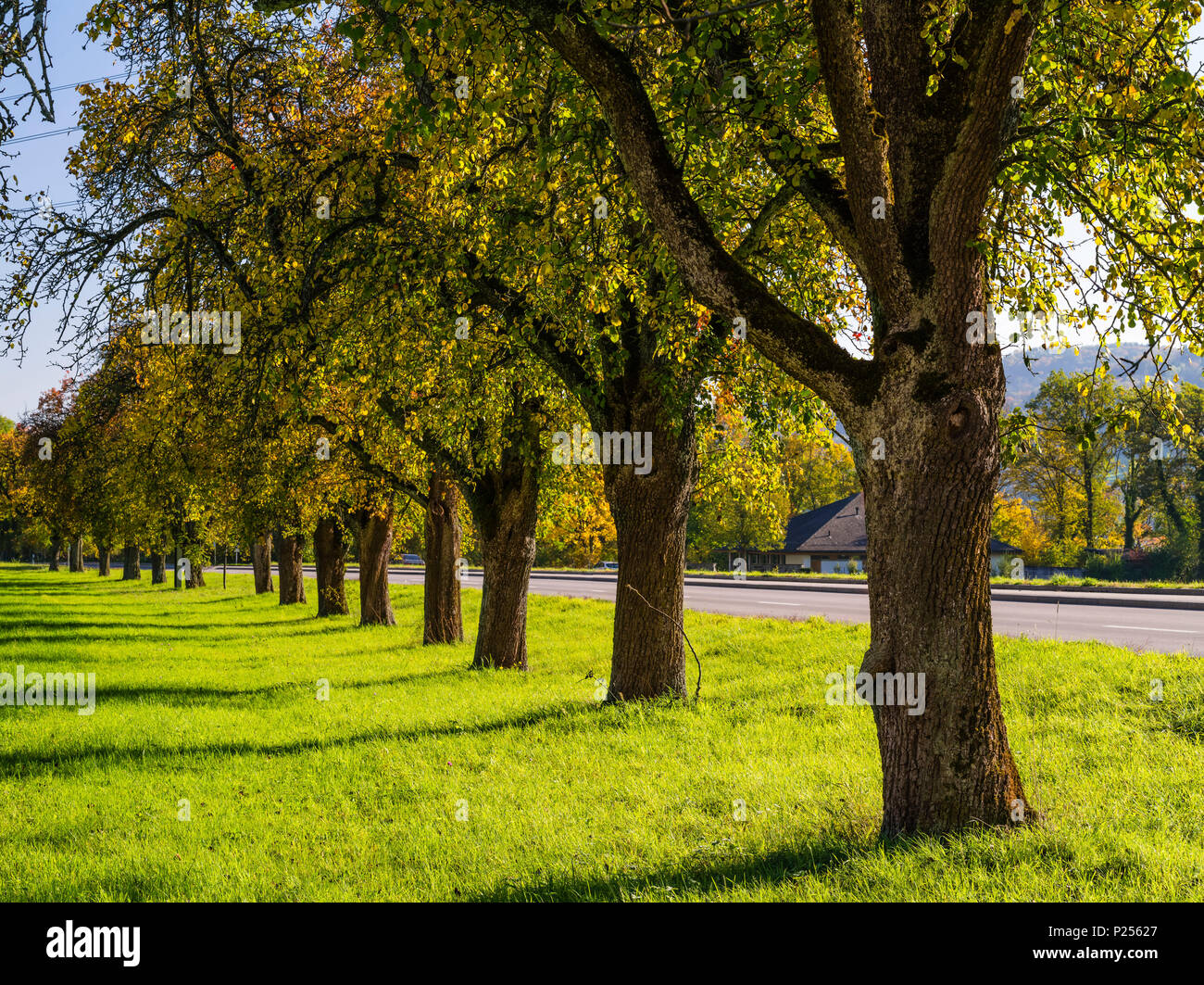 Weinland zurich hires stock photography and images Alamy