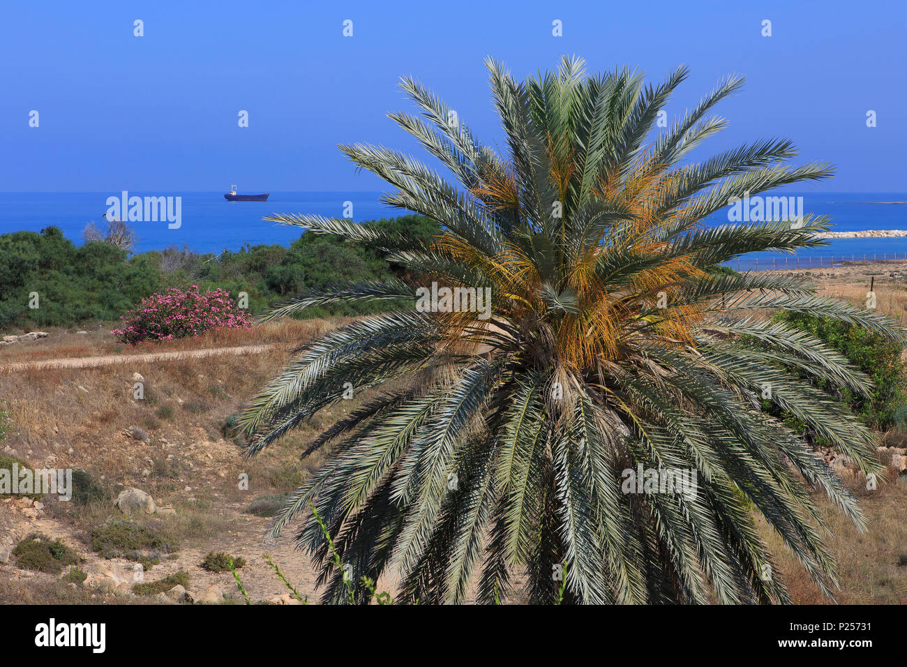 Dating i Paphos Cypern