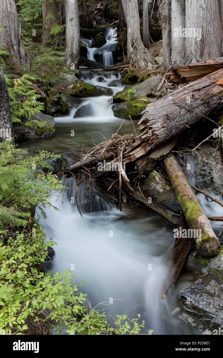 Silver falls cascade hi-res stock photography and images - Alamy