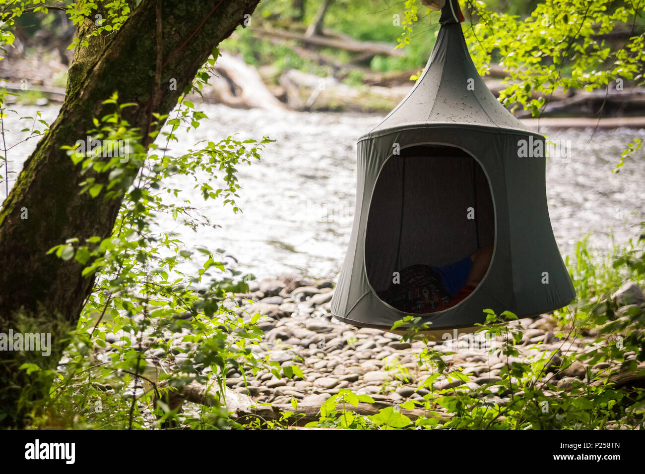 cacoon hanging tent