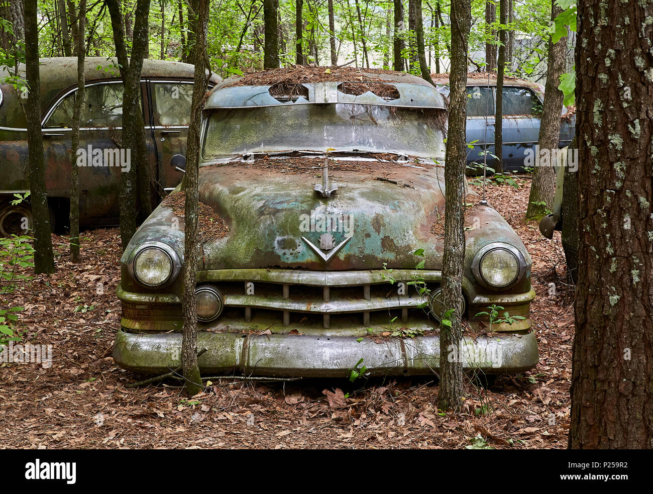 Old Green Rusting Car In The Woods Stock Photo Alamy