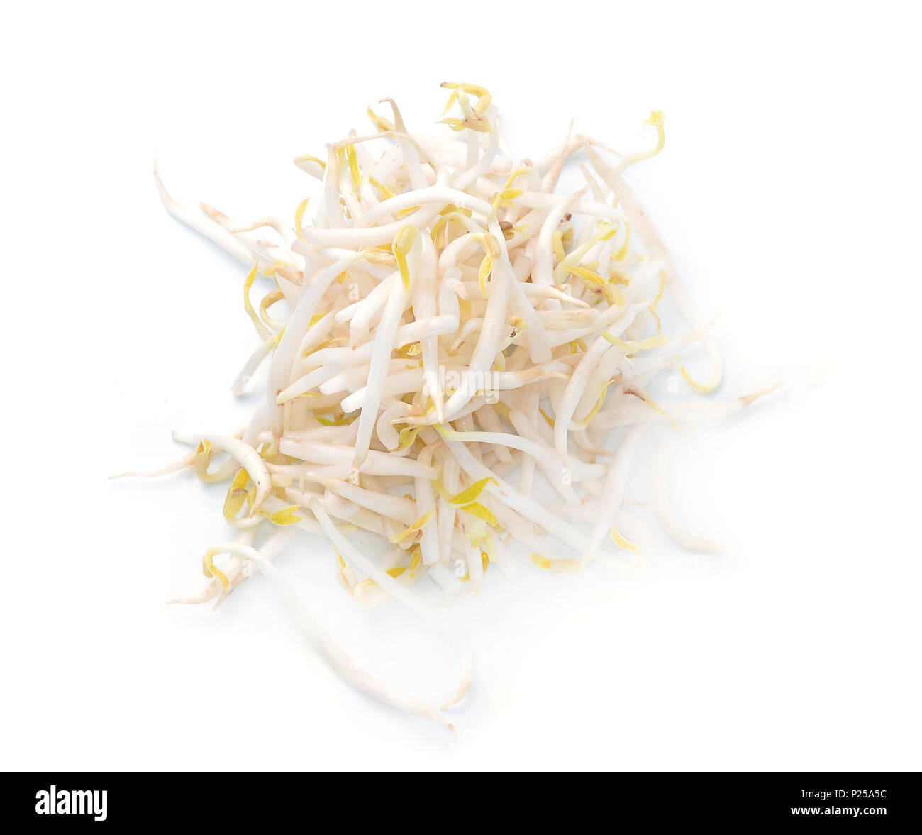 bean sprouts, soybean sprouts on a white background Stock Photo