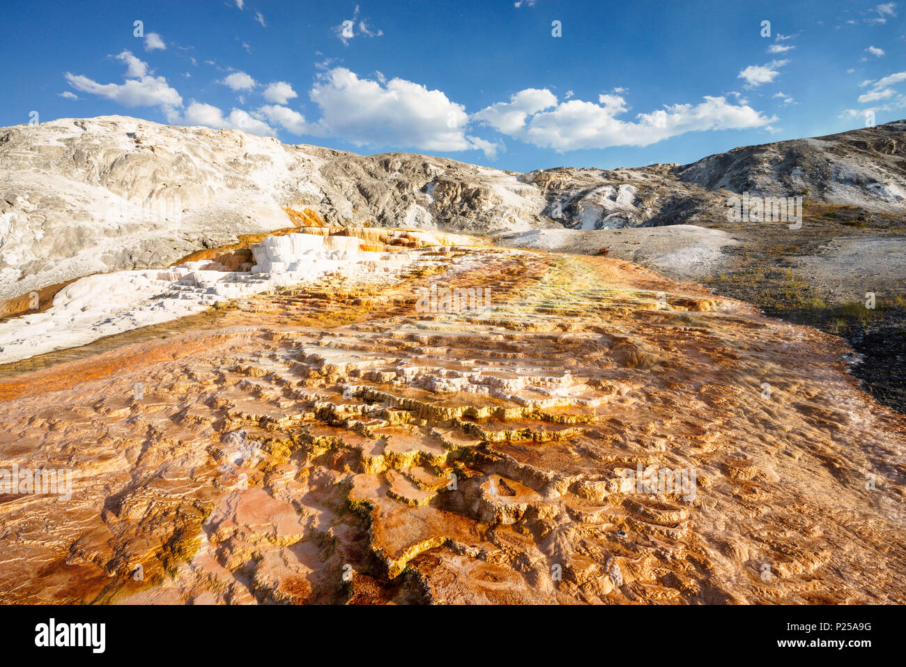 Mineral deposition at Mammoth Hot Springs, Yellowstone Natural Park, Wyoming, USA Stock Photo