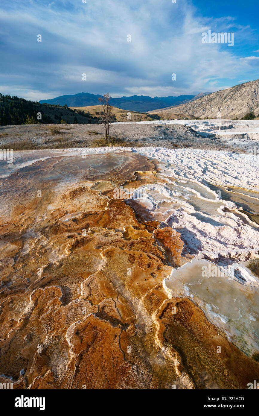 Mineral deposition at Mammoth Hot Springs, Yellowstone National Park, Wyoming, Usa Stock Photo