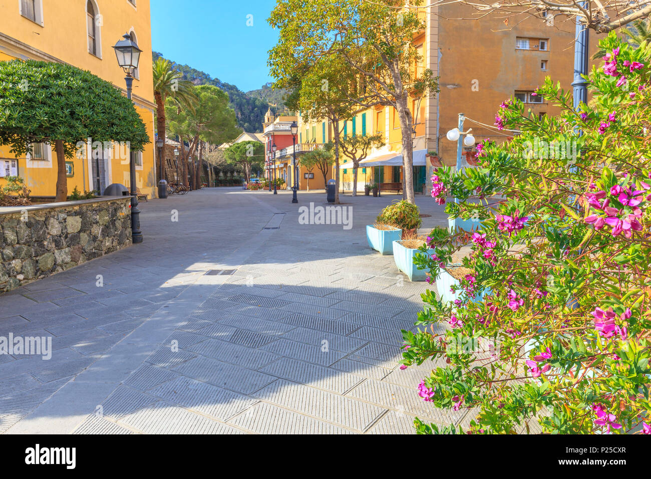 Main Road Flowers High Resolution Stock Photography And Images Alamy