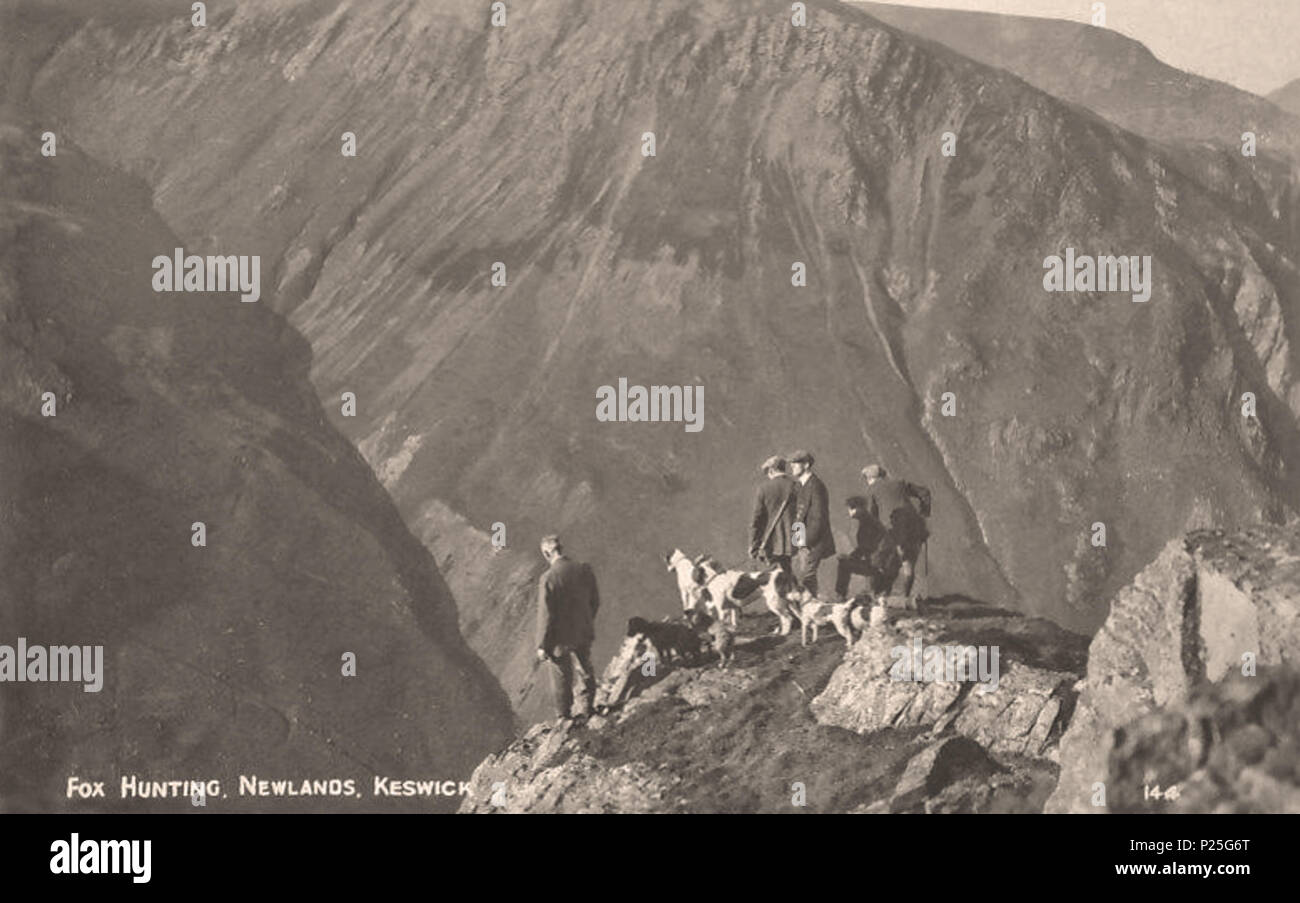 . English: Fox hunting above Newlands Valley, Cumbria, England, probably showing Hindscarth and Robinson fells, perhaps taken from Dale Head. The photographer was Henry Mayson (1845-1921), who was born in Keswick and who set up a photographic studio there in the 1880s, producing this postcard under the 'Keswick Series'. His work concerned the landscape and people of the Lake District. pre-1921. Henry Mayson (1845-1921) biog 125 Foxhunting, Newlands Valley Cumbria England Stock Photo