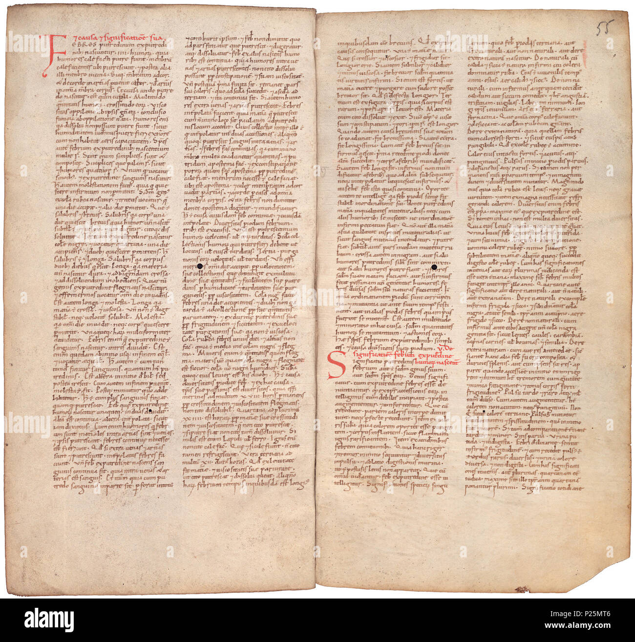 . Pantegni pars prima theorica (lib. I-X) - folios 054v (left) and 055r (right)  .  Lefthand side folio 054v; righthand side folio 055r from an 11th century copy of the Liber pantegni. This is the earliest known copy (prior to 1086) of the Liber pantegni, made at Monte Cassino under the supervision of Constantine the African. It is dedicated to Abbot Desiderius of Monte Cassino (1027-1087), before he became Pope Victor III. Read backgroud information in Dutch and in English. . Constantine the African (ca. 1010-1098/9) 176 Liber pantegni - KB 73 J 6 - folios 054v (left) and 055r (right) Stock Photo