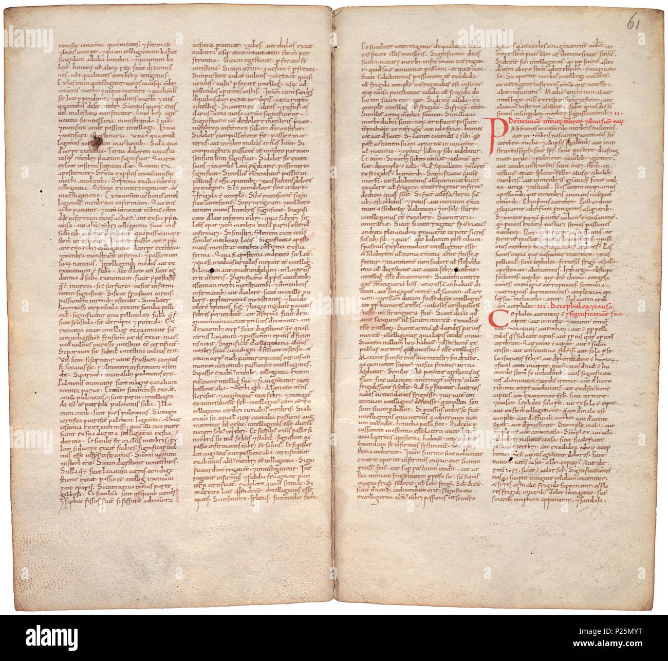 . Pantegni pars prima theorica (lib. I-X) - folios 060v (left) and 061r (right)  .  Lefthand side folio 060v; righthand side folio 061r from an 11th century copy of the Liber pantegni. This is the earliest known copy (prior to 1086) of the Liber pantegni, made at Monte Cassino under the supervision of Constantine the African. It is dedicated to Abbot Desiderius of Monte Cassino (1027-1087), before he became Pope Victor III. Read backgroud information in Dutch and in English. . Constantine the African (ca. 1010-1098/9) 176 Liber pantegni - KB 73 J 6 - folios 060v (left) and 061r (right) Stock Photo