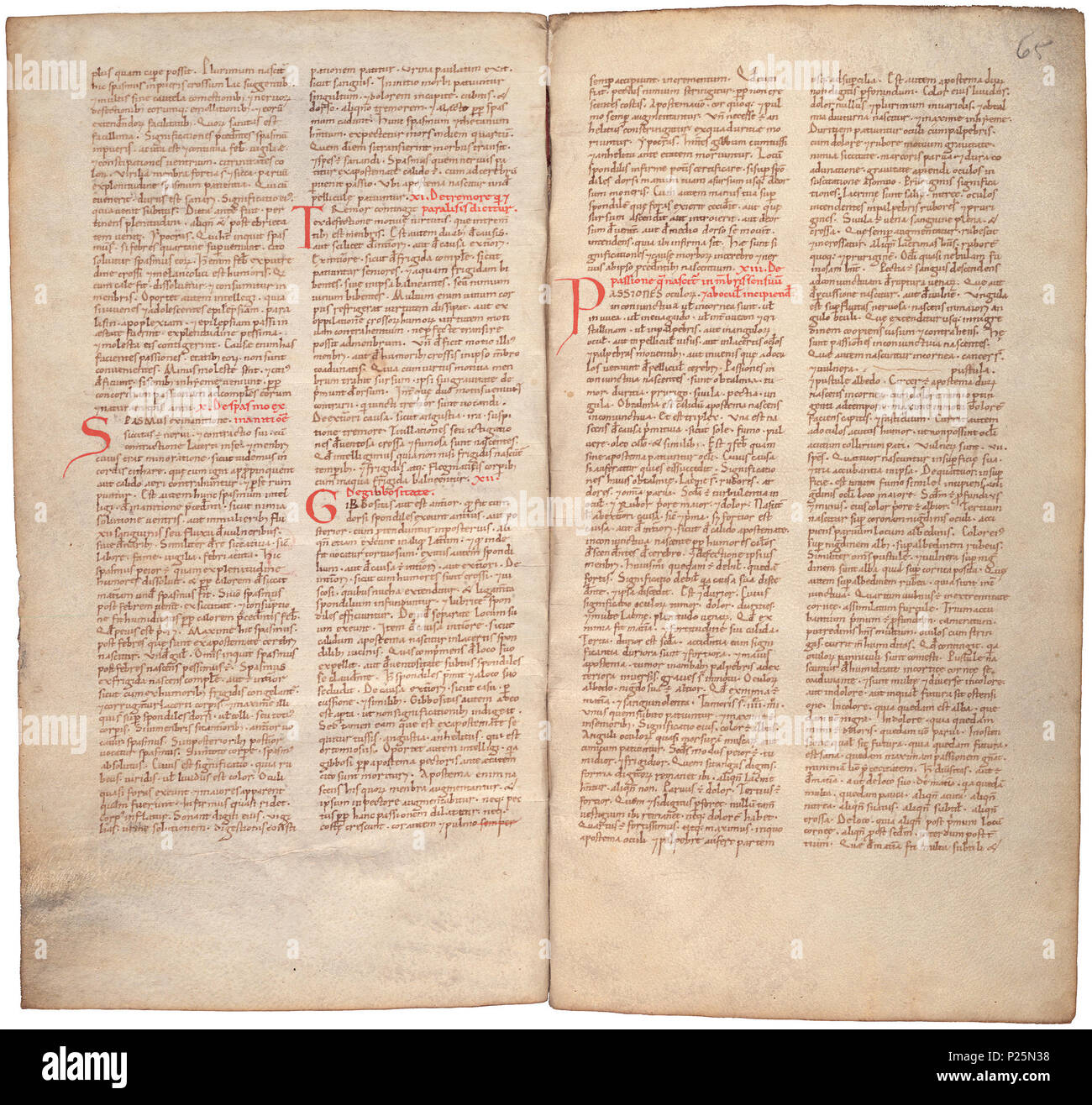 . Pantegni pars prima theorica (lib. I-X) - folios 064v (left) and 065r (right)  .  Lefthand side folio 064v; righthand side folio 065r from an 11th century copy of the Liber pantegni. This is the earliest known copy (prior to 1086) of the Liber pantegni, made at Monte Cassino under the supervision of Constantine the African. It is dedicated to Abbot Desiderius of Monte Cassino (1027-1087), before he became Pope Victor III. Read backgroud information in Dutch and in English. . Constantine the African (ca. 1010-1098/9) 176 Liber pantegni - KB 73 J 6 - folios 064v (left) and 065r (right) Stock Photo