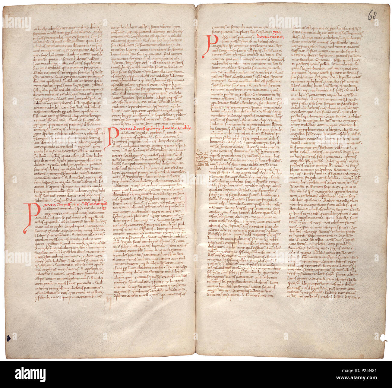 . Pantegni pars prima theorica (lib. I-X) - folios 067v (left) and 068r (right)  .  Lefthand side folio 067v; righthand side folio 068r from an 11th century copy of the Liber pantegni. This is the earliest known copy (prior to 1086) of the Liber pantegni, made at Monte Cassino under the supervision of Constantine the African. It is dedicated to Abbot Desiderius of Monte Cassino (1027-1087), before he became Pope Victor III. Read backgroud information in Dutch and in English. . Constantine the African (ca. 1010-1098/9) 176 Liber pantegni - KB 73 J 6 - folios 067v (left) and 068r (right) Stock Photo