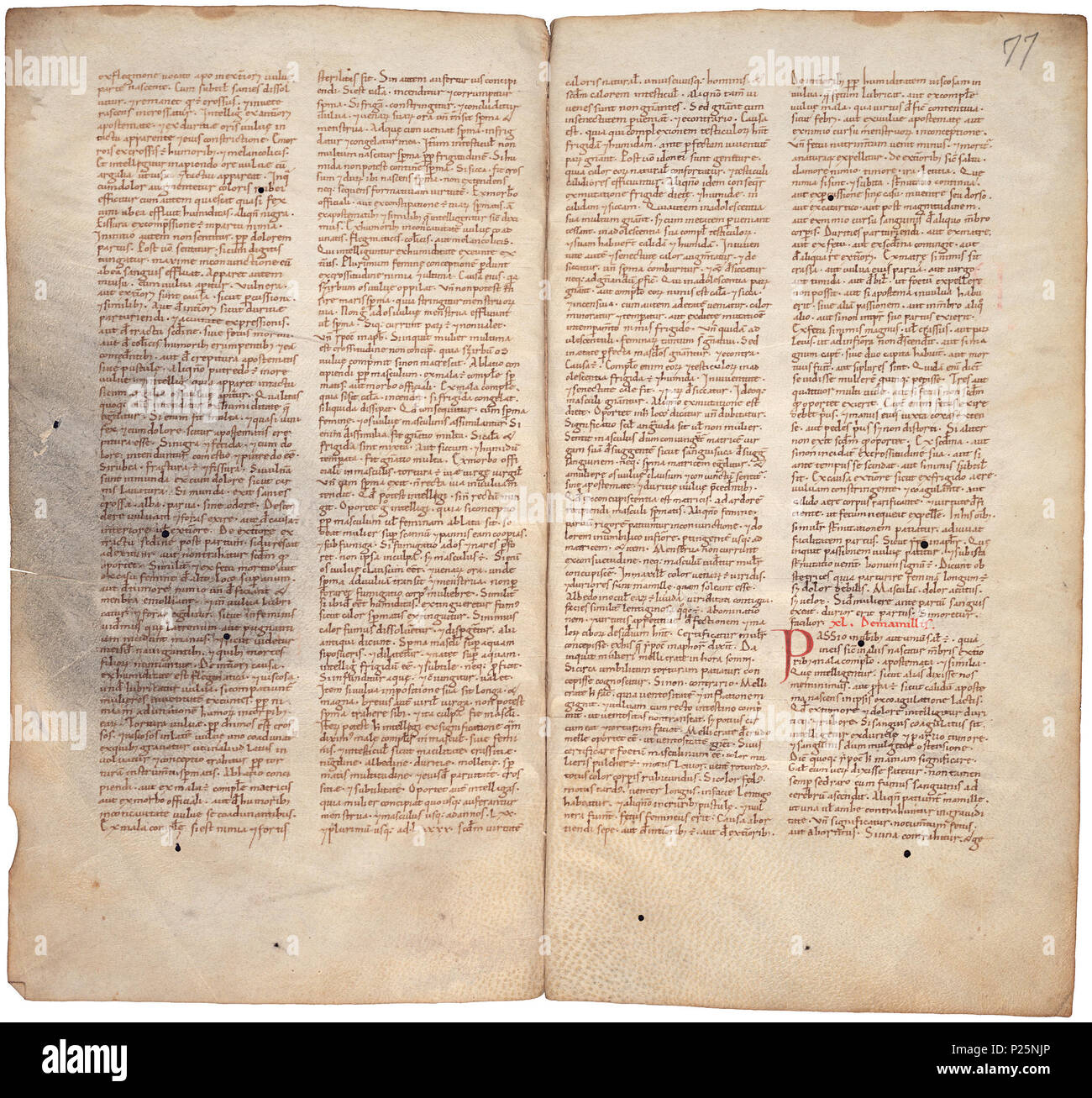 . Pantegni pars prima theorica (lib. I-X) - folios 076v (left) and 077r (right)  .  Lefthand side folio 076v; righthand side folio 077r from an 11th century copy of the Liber pantegni. This is the earliest known copy (prior to 1086) of the Liber pantegni, made at Monte Cassino under the supervision of Constantine the African. It is dedicated to Abbot Desiderius of Monte Cassino (1027-1087), before he became Pope Victor III. Read backgroud information in Dutch and in English. . Constantine the African (ca. 1010-1098/9) 176 Liber pantegni - KB 73 J 6 - folios 076v (left) and 077r (right) Stock Photo