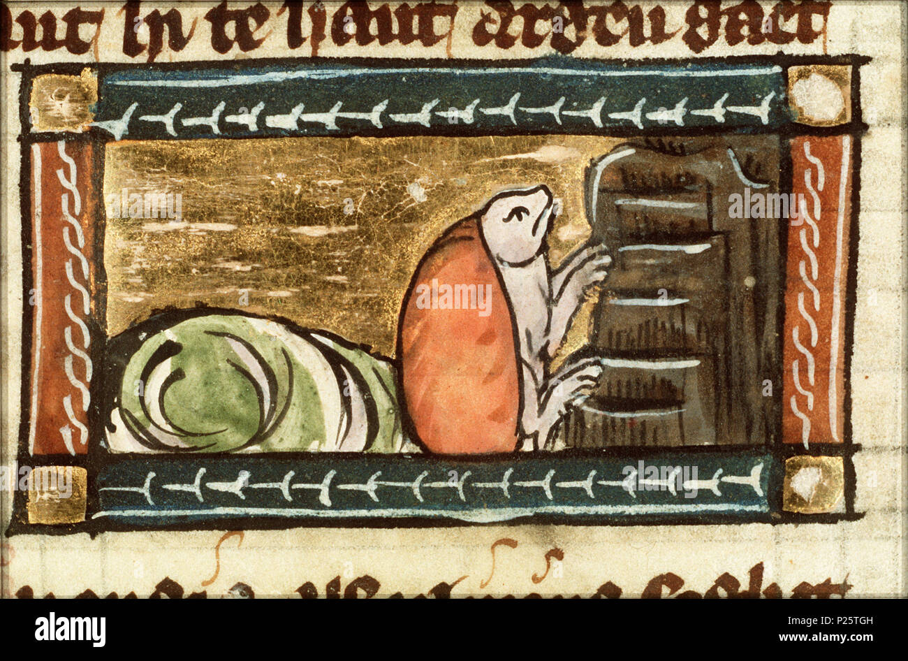 . Spongia (sponge) - miniature from folio 120r from Der naturen bloeme (KB KA 16) by Jacob van Maerlant .  Spongia (sponge) - miniature from folio 120r from Der naturen bloeme (KB KA 16) by Jacob van Maerlant Topics depicted in this miniature Coelenterata: sponge (25F75(SPONGE))   This miniature is part of the righthand side folio 120r  . between circa 1340 and circa 1350.    Thomas of Cantimpré  (1201–1270)    Alternative names Thomas of Cantimpre  Description hagiographer, writer and priest  Date of birth/death 1201 1270  Location of birth Sint-Pieters-Leeuw  Authority control  : Q572799 VIA Stock Photo