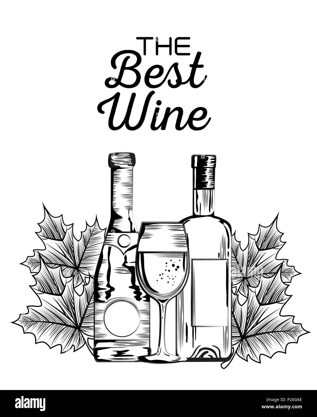 set red wine bottles vector illustration design Stock Vector Image ...