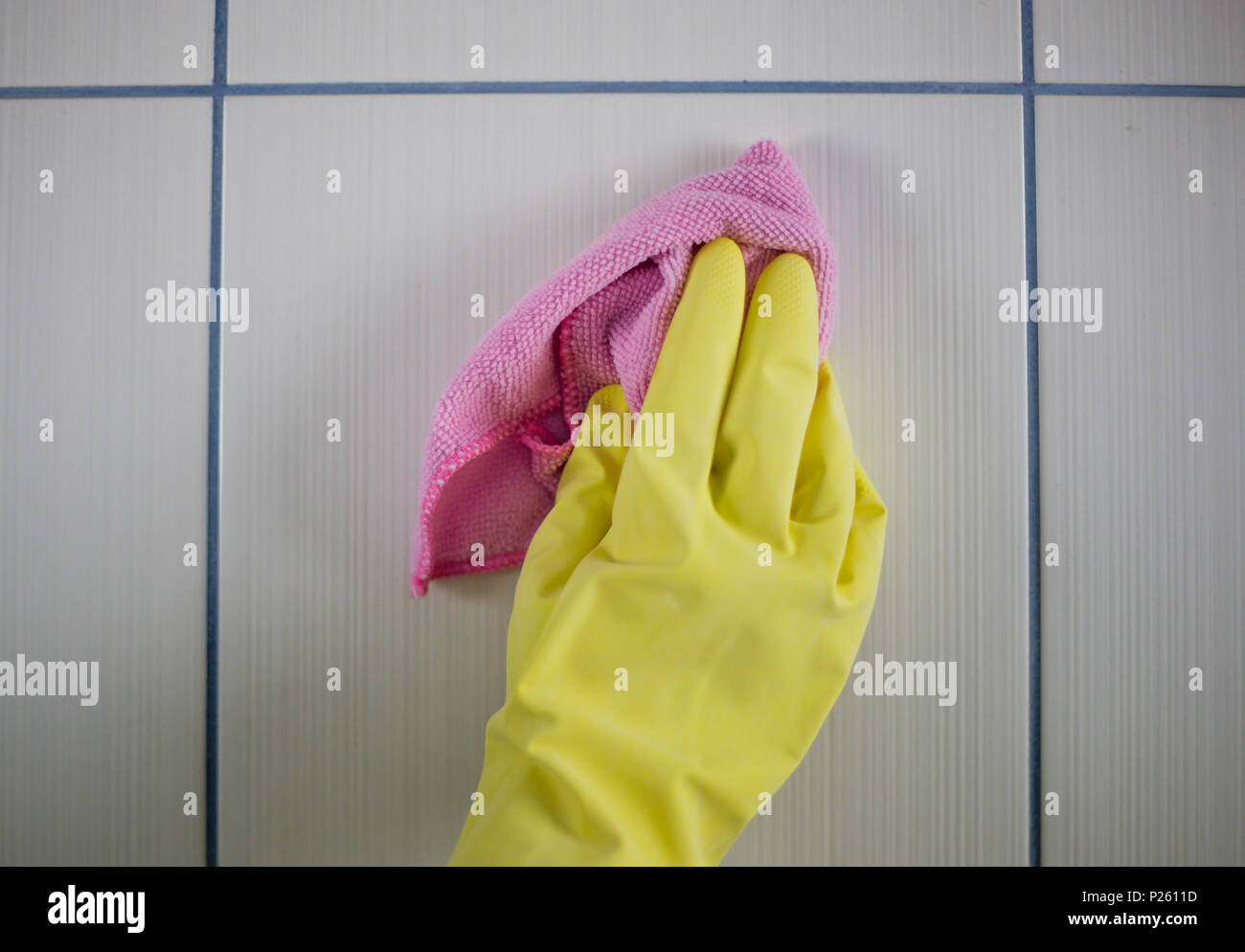 cloth cleaning gloves