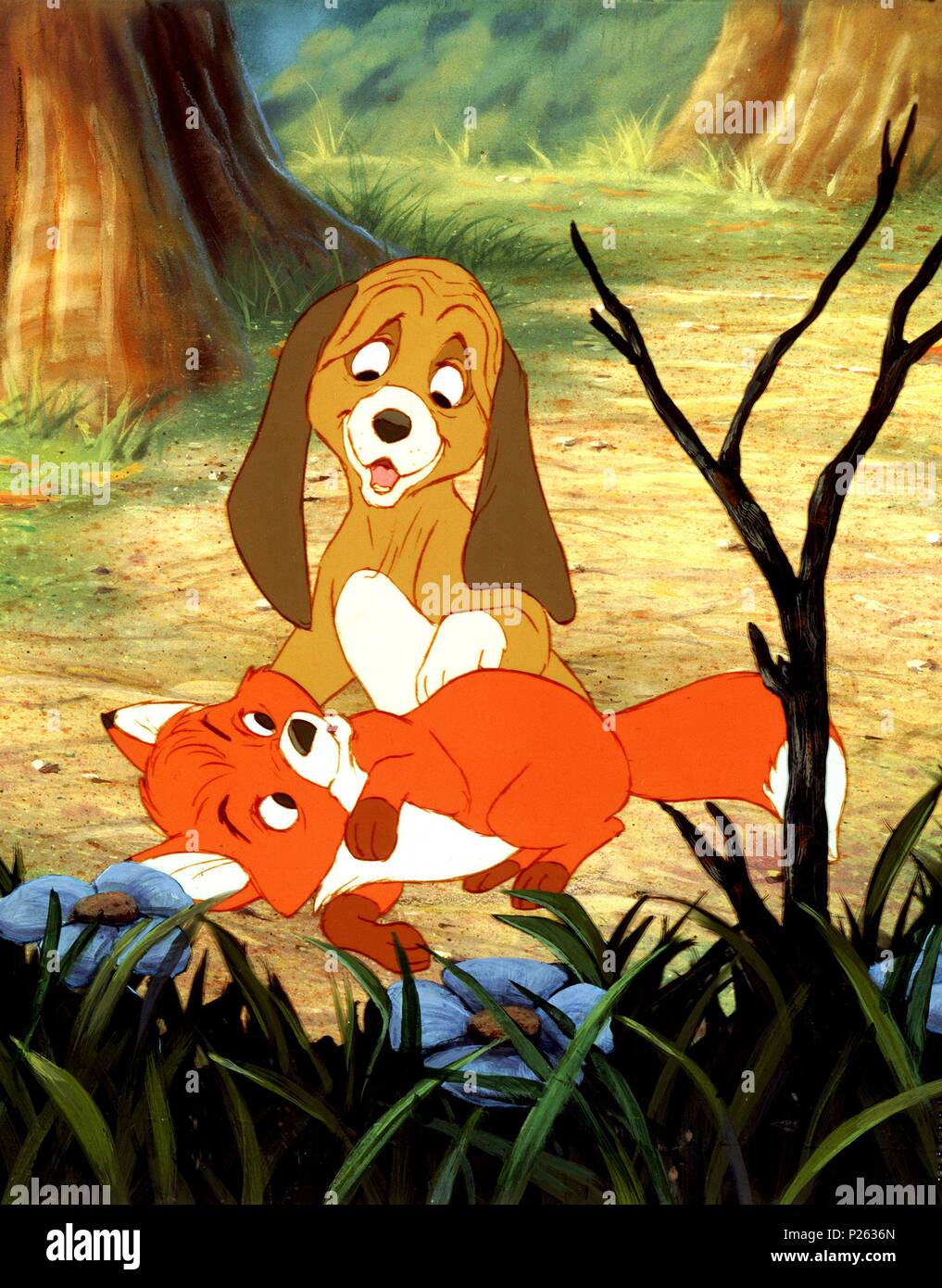 Original Film Title: THE FOX AND THE HOUND. English Title: THE FOX AND THE HOUND. Film Director: RICHARD RICH; BARRY ART STEVENS. Year: 1981. Credit: WALT DISNEY PRODUCTIONS / Album Stock