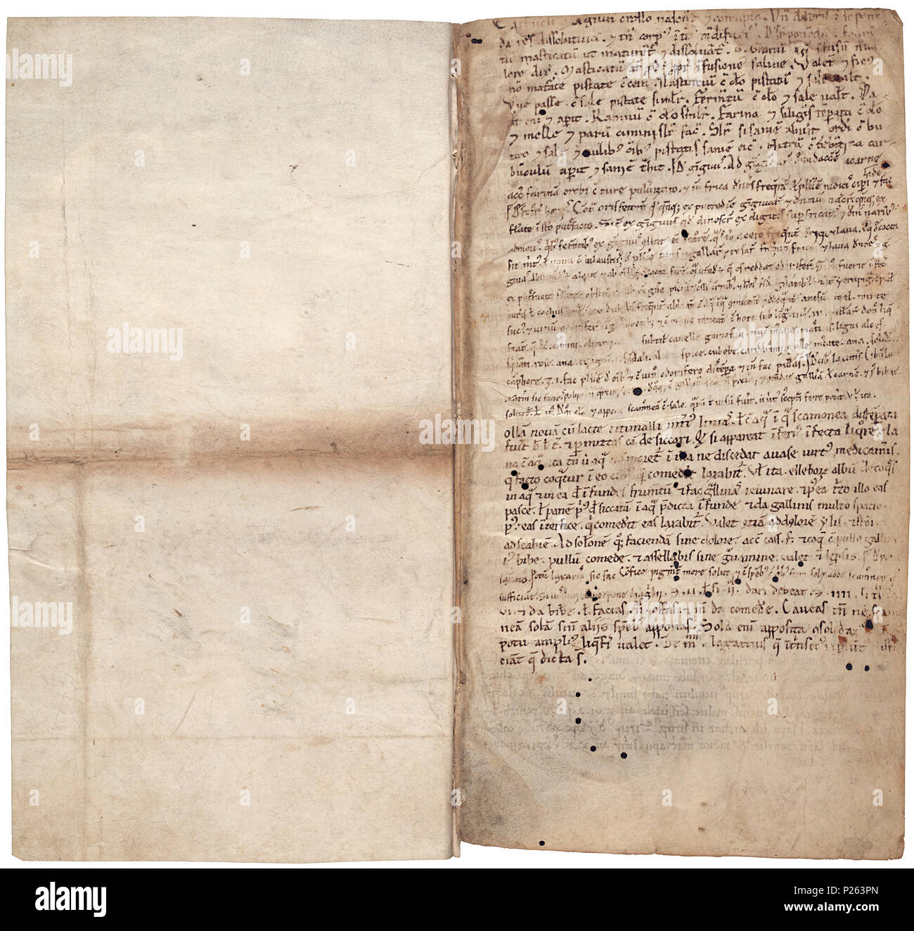 . Pantegni pars prima theorica (lib. I-X) - folios ii (left) and iii (right)  .  Lefthand side folio ii; righthand side folio iii from a copy of the Liber pantegni This is the earliest known copy (prior to 1086) of the Liber pantegni, made at Monte Cassino under the supervision of Constantine the African It is dedicated to Abbot Desiderius of Monte Cassino (1027-1087), before he became Pope Victor III Read backgroud information in Dutch and in English . Trotula de Salerno (11th/12th century), Gilbertus Anglicus (ca. 1180-ca. 1250) and Johannes Egidius Zamorensis (ca. 1240-1320) 176 Liber pante Stock Photo