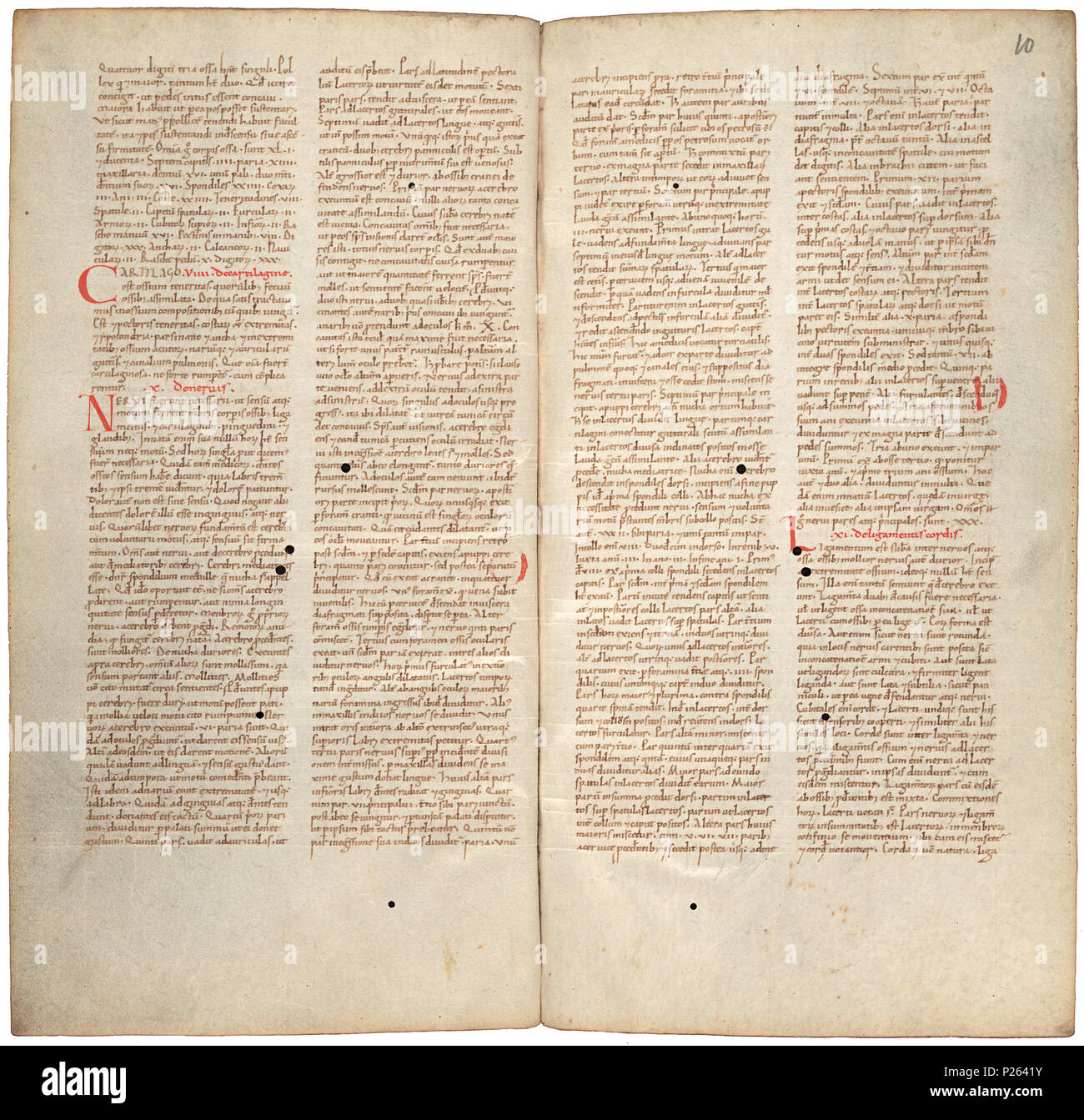 . Pantegni pars prima theorica (lib. I-X) - folios 009v (left) and 010r (right)  .  Lefthand side folio 009v; righthand side folio 010r from an 11th century copy of the Liber pantegni. This is the earliest known copy (prior to 1086) of the Liber pantegni, made at Monte Cassino under the supervision of Constantine the African. It is dedicated to Abbot Desiderius of Monte Cassino (1027-1087), before he became Pope Victor III. Read backgroud information in Dutch and in English. . Constantine the African (ca. 1010-1098/9) 175 Liber pantegni - KB 73 J 6 - folios 009v (left) and 010r (right) Stock Photo